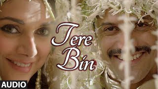 Tere Bina Marna Nahi