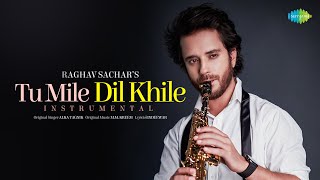 Tu Mile Dil Khile Instrumental