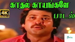 Kadhal Kayangale