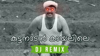 Kuttanadan Kayalile Remix