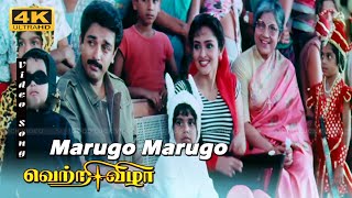 Maarugo Maarugo