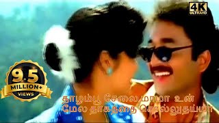 Thalampoo Selai