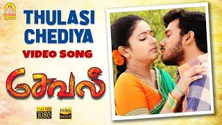 Thulasi Chediya Aralipoovu