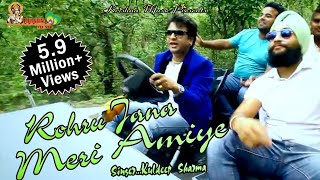 Rodu Jana Meri Amiye