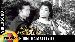 Poontha Malliyile